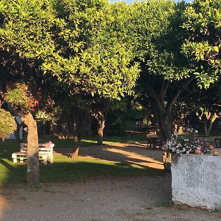 Bed and Breakfast La Purissima Alghero Exterior foto