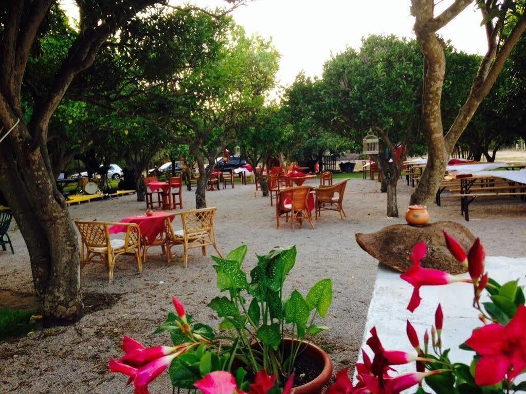 Bed and Breakfast La Purissima Alghero Exterior foto